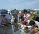 渥美半島バス旅行2011 256.jpg