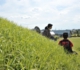 2011.10.1.墓守隊_3173.jpg