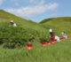 2011.10.1.墓守隊_3420.jpg