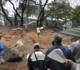 2011.11.23.小牧山歴史探検_9756.jpg