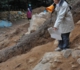 2011.11.23.小牧山歴史探検_9772.jpg