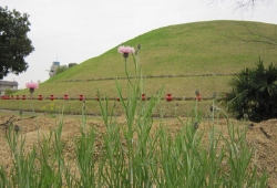 20100416.jpg