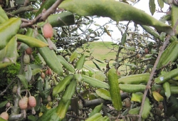 20100416-01.jpg