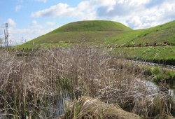 20100417-01.jpg