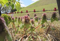 20100418.jpg