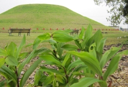 20100420.jpg