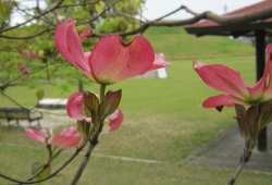 20100423.jpg