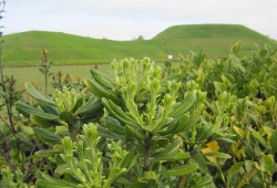 20100427.jpg