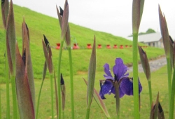 20100428.jpg