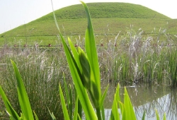 20100429.jpg
