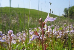 20100502.jpg