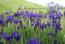 20100503.jpg