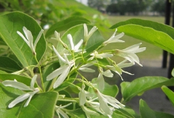 20100504.jpg