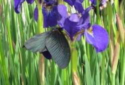 20100509.jpg
