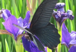 20100510.jpg