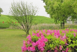 20100511.jpg
