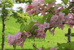 20100512.jpg