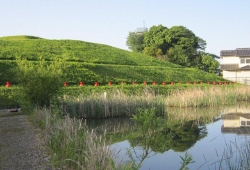 20100515.jpg