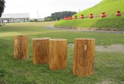 20100516.jpg