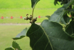 20100518.jpg