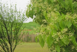 20100519.jpg
