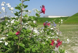 20100521.jpg