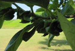 20100522.jpg