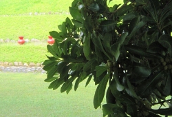 20100525.jpg