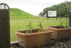 20100526.jpg