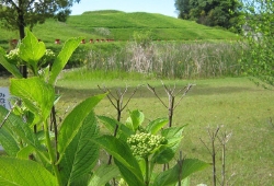 20100527.jpg