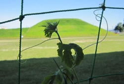 20100528.jpg