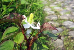 20100530.jpg
