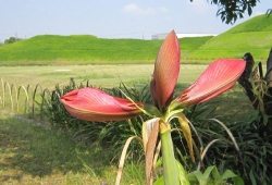 20100602.jpg