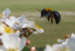 20100603.jpg