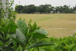 20100613.jpg