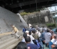 木曽川散歩 8 (1).jpg