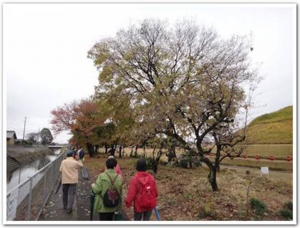 20111202.jpg