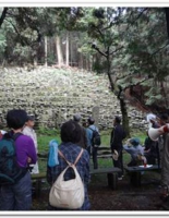 20111120-01.jpg
