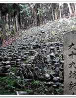 20111120-02.jpg